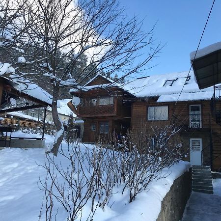 Villa Під Лісом У Гіда Jaremtsche Exterior foto